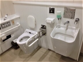 大ホールホワイエ多機能トイレの汚物流しの画像