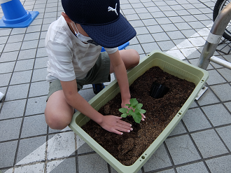 みどりをふやそう